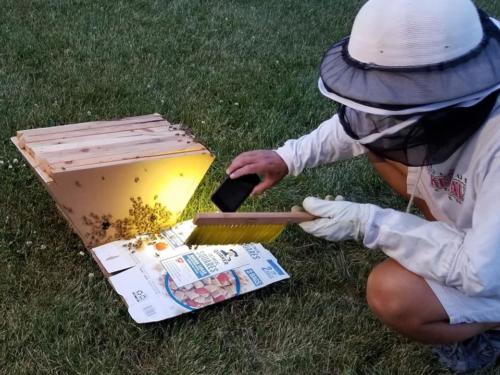 Stony Ridge Park Save the Honeybees 19